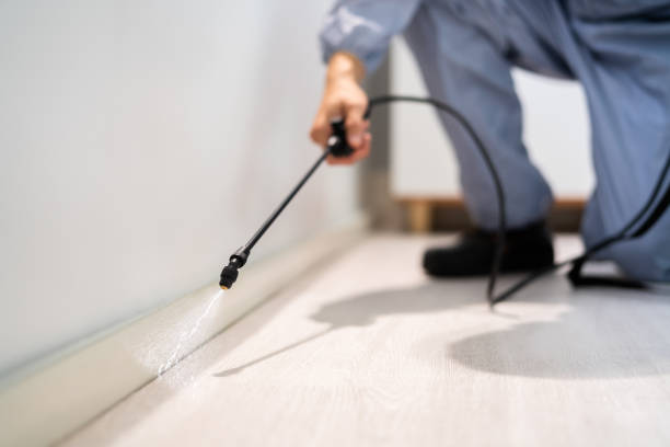 Licensed Pest Control service in Lafayette, CA - Show Me Pest Control
