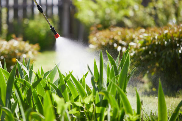 24/7 Emergency Mosquito Control experts in Lafayette, CA