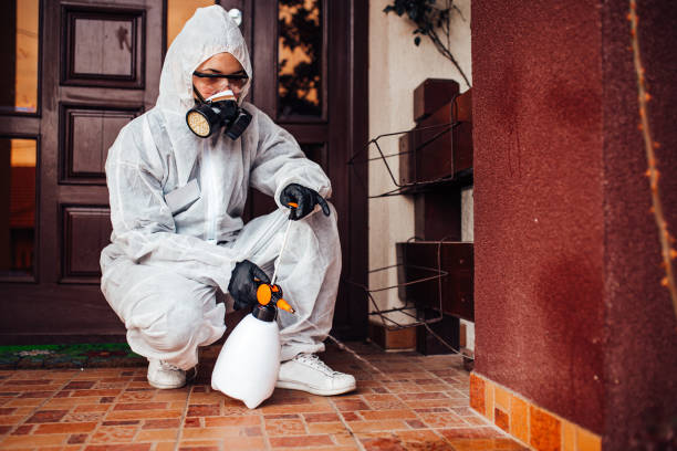 Reliable Mosquito Control contractor in Lafayette, CA by Show Me Pest Control